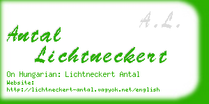 antal lichtneckert business card